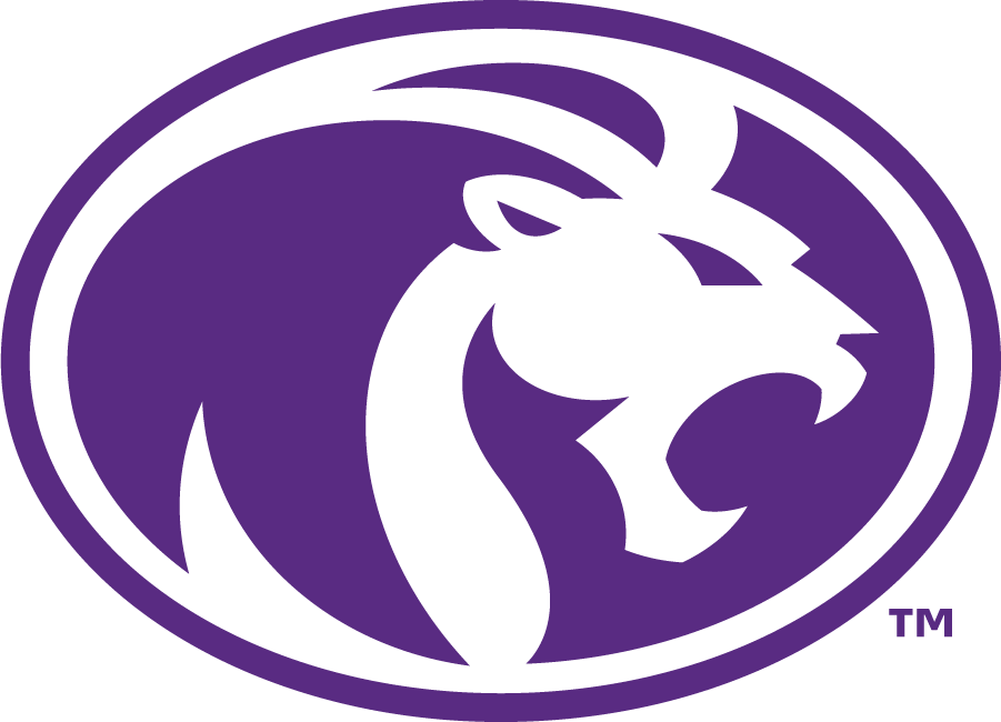 North Alabama Lions 2022-Pres Secondary Logo v2 diy iron on heat transfer